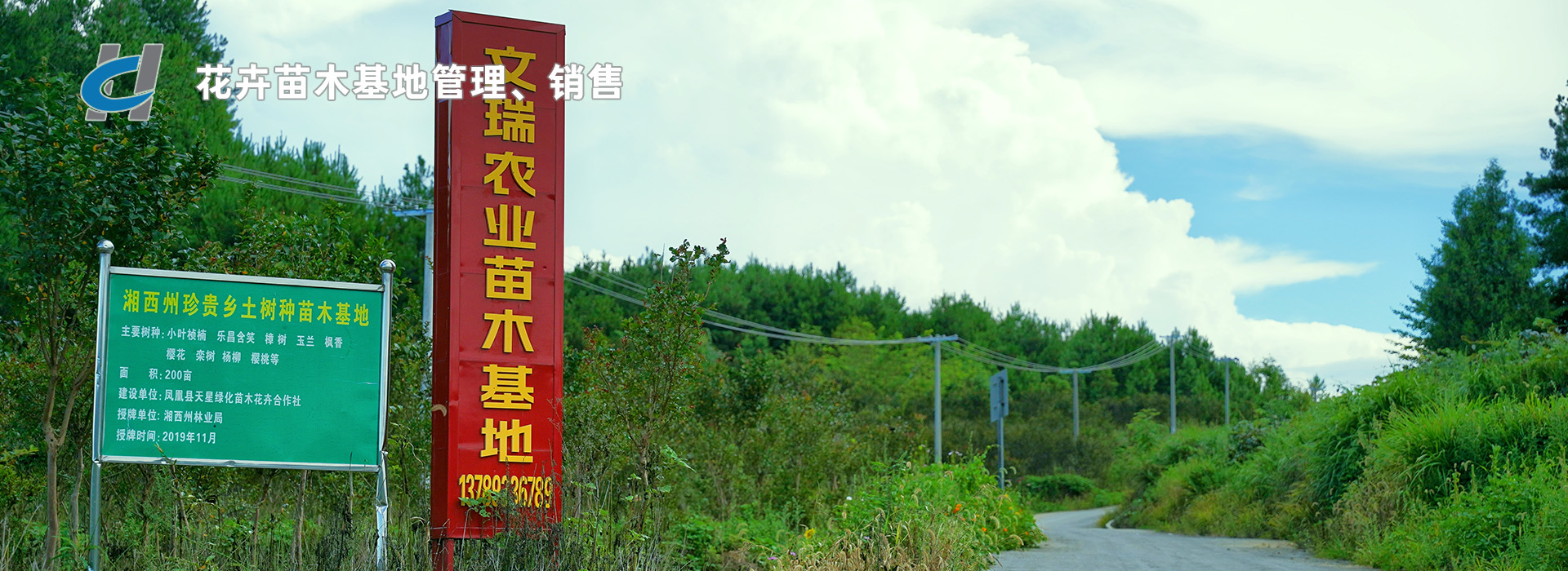 花卉苗木基地管理、銷(xiāo)售